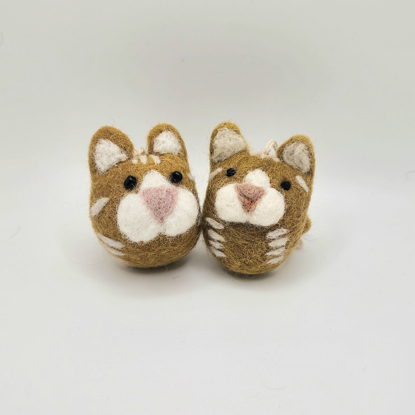 "Tan Tabby Cat" - Gry and Sif