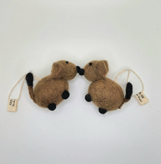 "Brown Puppy" - Gry and Sif