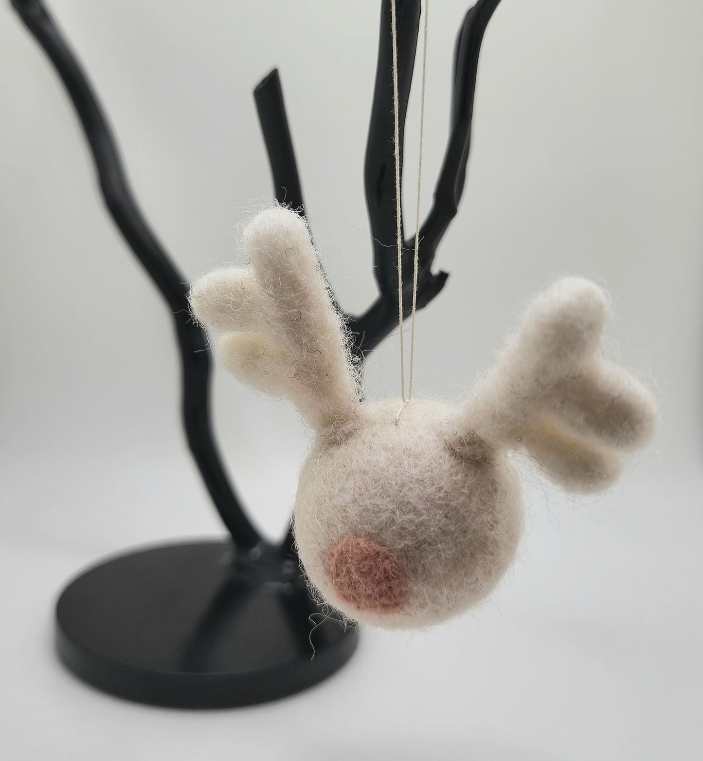 "Big-Nosed Reindeer"